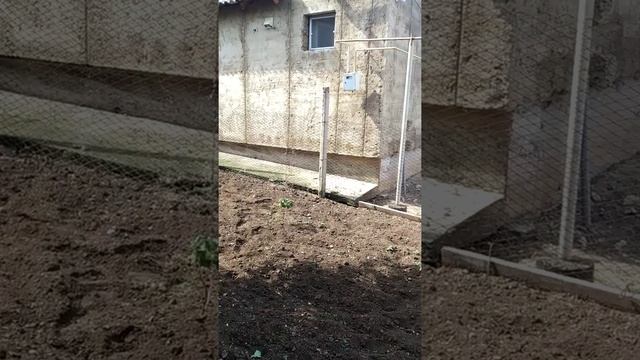 Дом на меже строим потом делаем документы смотреть онлайн