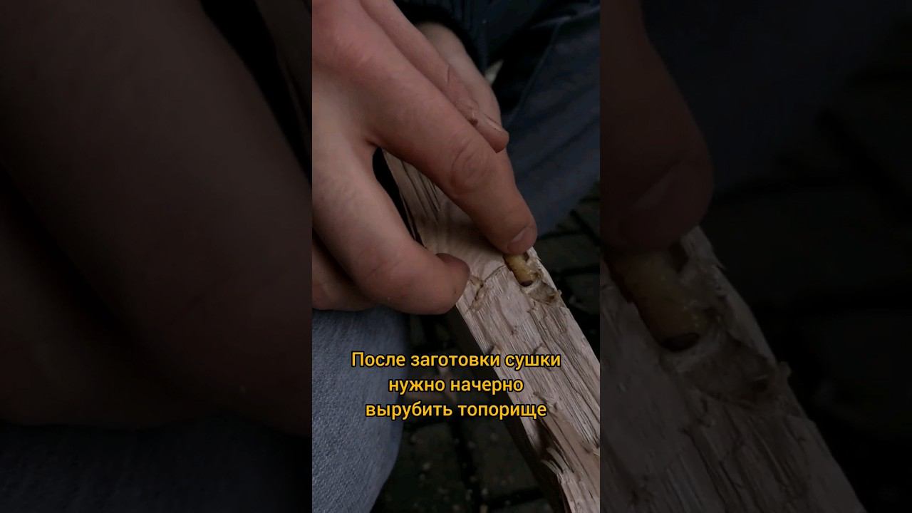 топорще самодельное или покупной, что лучше??? #survival #выживание #bushcraft #forest #бушкрафт смотреть онлайн