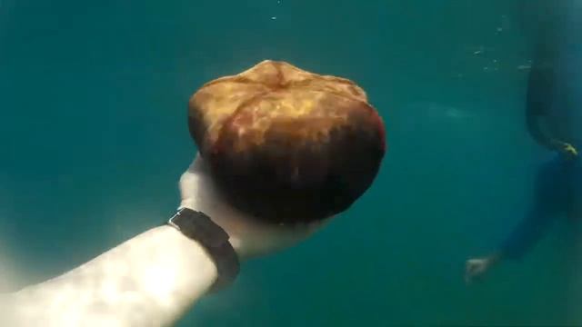 Взял звезду-передай другому смотреть онлайн