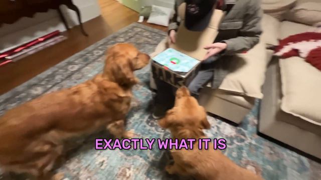 My Dogs Meet Santa Claus! смотреть онлайн