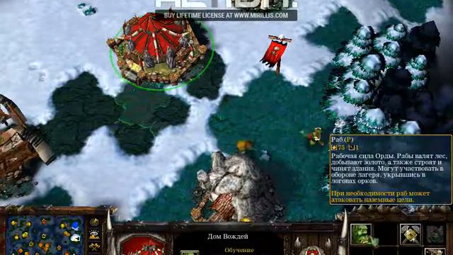 Warcraft 3 играю смотреть онлайн