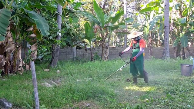 CUTTING THE THICK GRASS AND WEEDS USING GRASS CUTTER / BRUSH CUTTER смотреть онлайн