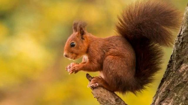 8 сынып. Өзін-өзі тану. Мен әлемді сүйемін смотреть онлайн