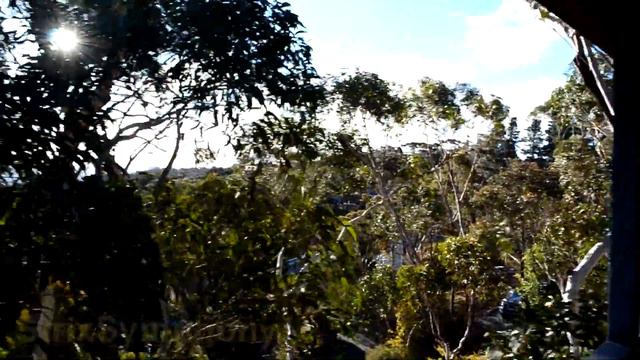 Stratovarius - Forever Anthem of the World Orchestral (Cover) смотреть онлайн