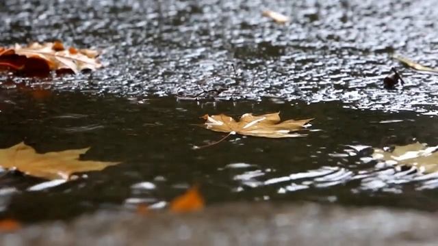 Встреча под дождём смотреть онлайн