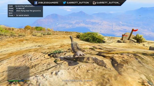 GTA 5 PLAY AS A BIRD!? GTA 5 Easter Egg Peyote Plant Location смотреть онлайн