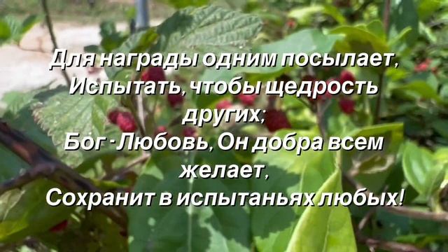 НЕУЖЕЛИ, ТЫ ВЕРИШЬ В УДАЧУ?! (#христианский #стих (читает автор Анна Юркин) смотреть онлайн