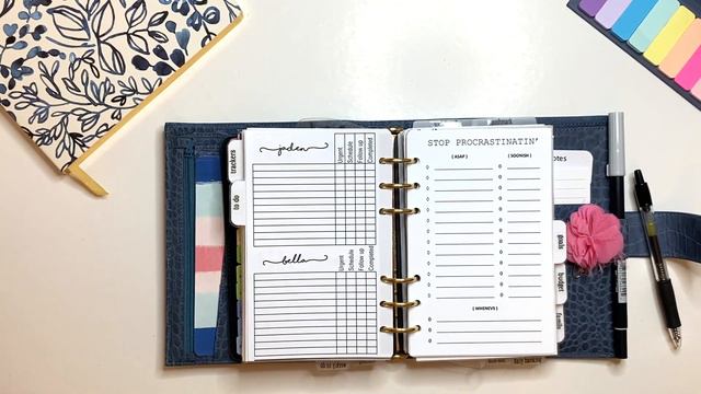 July Flip Through in my Gillio PW Matte Blue Croco Planner with Franklin Covey Compact Inserts смотреть онлайн