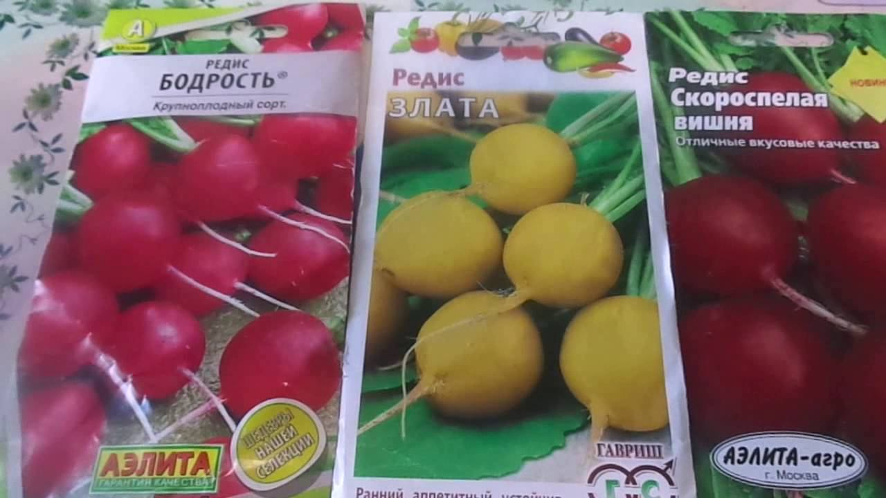 Посев Редиса Вторым Сроком Сева. Правильный Выбор Сорта. смотреть онлайн