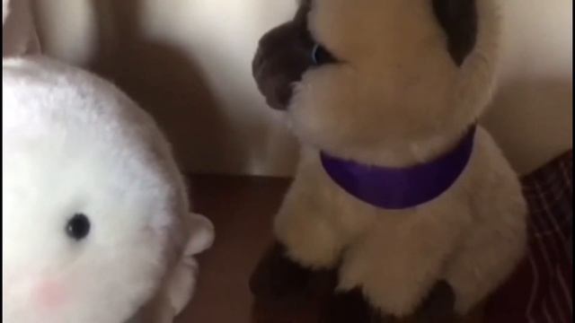 Зефирка невыполнимая миссия часть 1 смотреть онлайн