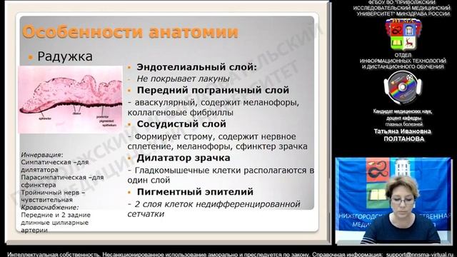 Увеиты. Демо-версия смотреть онлайн