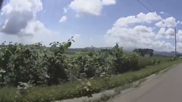 北海道バイク散歩3 真狩 GSX1100S 85年型 смотреть онлайн