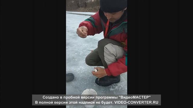 рыбалка на Днестре 2018 ловля крупной плотвы смотреть онлайн