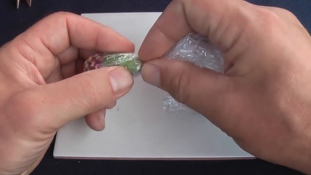 Next generation grafting смотреть онлайн