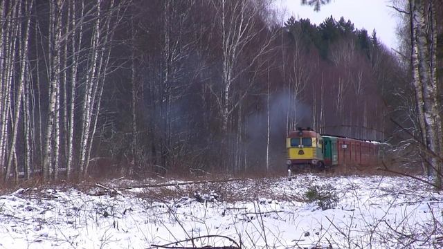 Узкоколейная железная дорога ТУ2-131 и ТУ2-076 / Narrow gauge railway TU2-131 and TU2-076 смотреть онлайн
