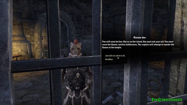 Elder Scrolls Online - Live Steam смотреть онлайн