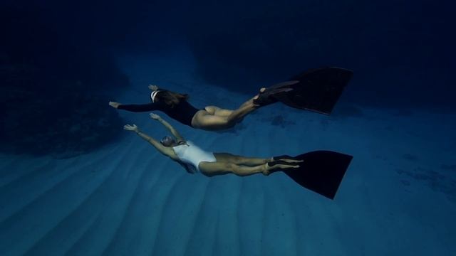 Фридайвинг на Тонга смотреть онлайн