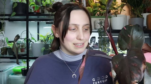 Happy Valentine's Day! 💜🪴💖 10 Pink & Purple Plants смотреть онлайн