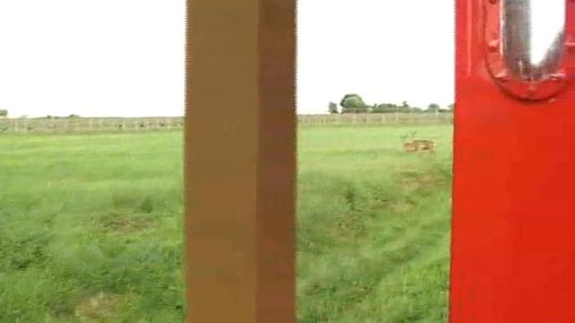 Все дороги ведут в зоосад.avi смотреть онлайн