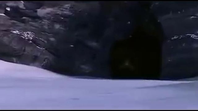 Прогулки с Динозаврами. Великий Поход Динозавров. 20 000000 лет назад.