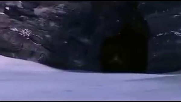 Прогулки с Динозаврами. Великий Поход Динозавров. 20 000000 лет назад.