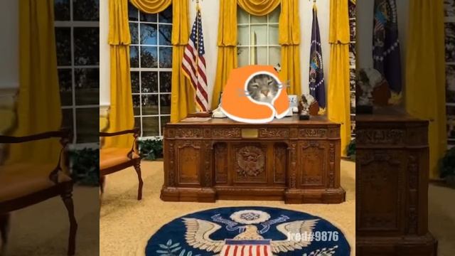 BlobCat Around смотреть онлайн