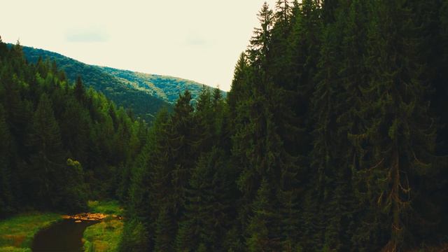 Пример 1. смотреть онлайн