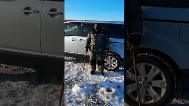 рыбалка Де-Кастри 2015 прикол смотреть онлайн