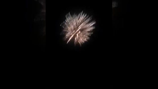 Салют Даша и Настя смотреть онлайн