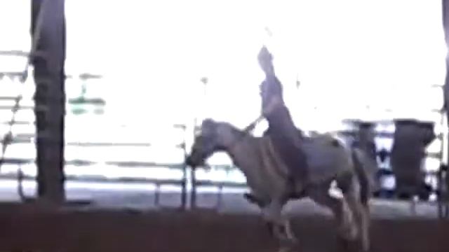 i love my pony comanche lol смотреть онлайн