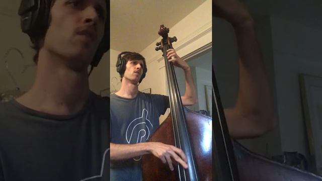 Autumn Leaves (solo bass arrangement) смотреть онлайн