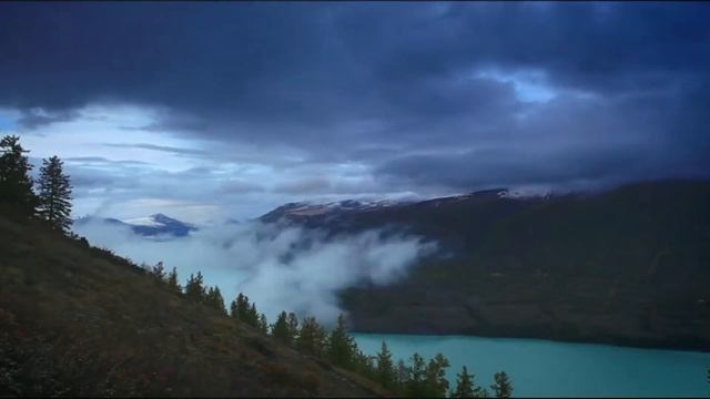 Чудеса Китая на Чжень Гунфу