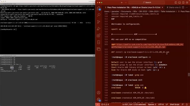 Guía Completa de Instalación de Oracle 19c ASM con ASMLib - ¡Aprende paso a paso! смотреть онлайн