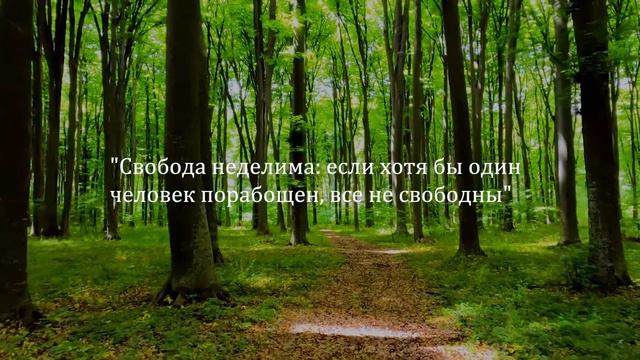 Откровенные Цитаты Джона Кеннеди, которые Вошли в Историю! Мудрые слова, афоризмы и притчи. смотреть онлайн