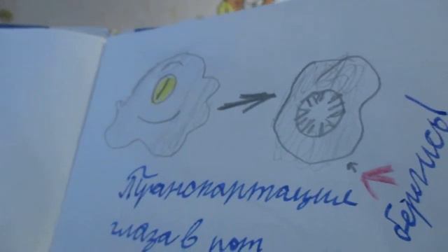 ДНЕВНИК ГРАВИТИ ФОЛЗ 5 смотреть онлайн