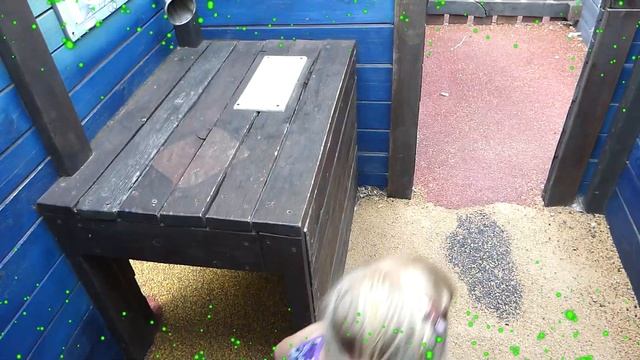 Орнаменты Разума