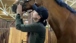 Лошади. Конный спорт. Мой ПЕРВИЙ ВЛОГ - Один День Из Жизни Конника.