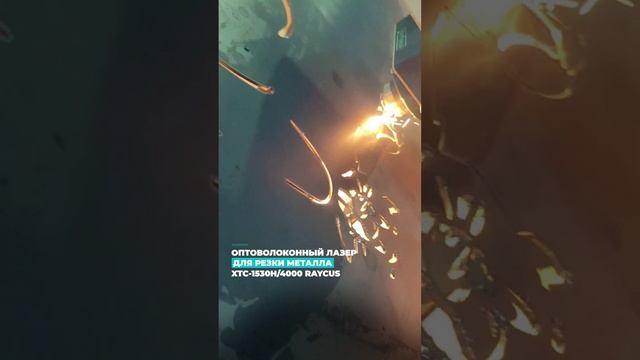 ОПТОВОЛОКОННЫЙ ЛАЗЕР ДЛЯ РЕЗКИ МЕТАЛЛА XTC-1530H/4000 RAYCUS #machine #wood #cnc смотреть онлайн