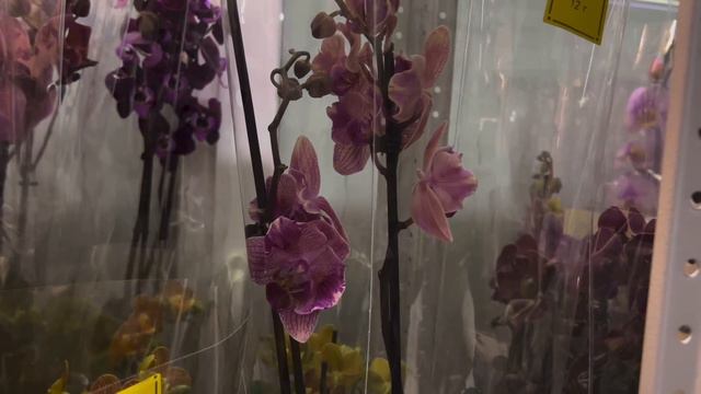 @zeboorhids  переехала и ждёт всех в гости!!!🌸🔥🤗