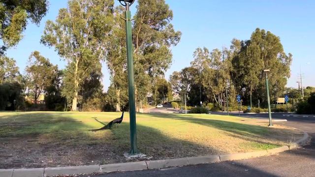 Израиль для репатриантов. Кацрин. смотреть онлайн