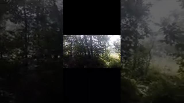 Отдых в пос.Псебай "замок Климовский" смотреть онлайн
