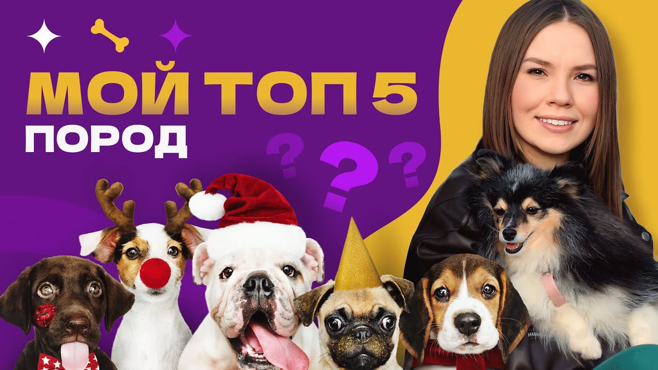 Топ пять пород кинолога, какие породы бы я себе завела