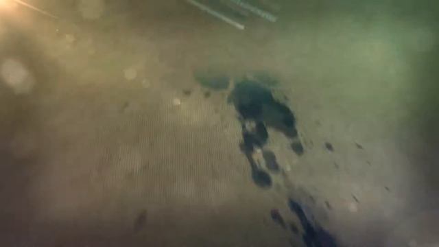 Школьный фотограф смотреть онлайн