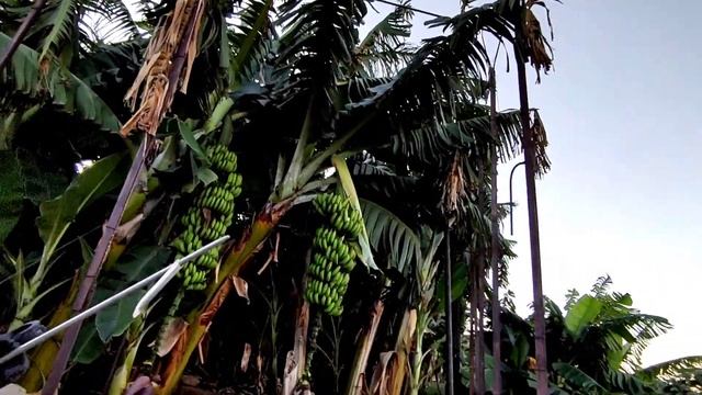 Рыбалка в Алании Турция. Подводная охота в Средиземном море. Отдых в Турции/Аланья смотреть онлайн