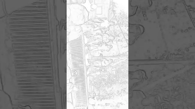 Лагерь соть смотреть онлайн