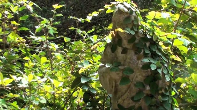Frames - Cimitero Monumentale di Staglieno смотреть онлайн