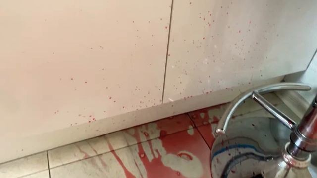 Вот, что происходит, когда собака остаётся одна в комнате. смотреть онлайн