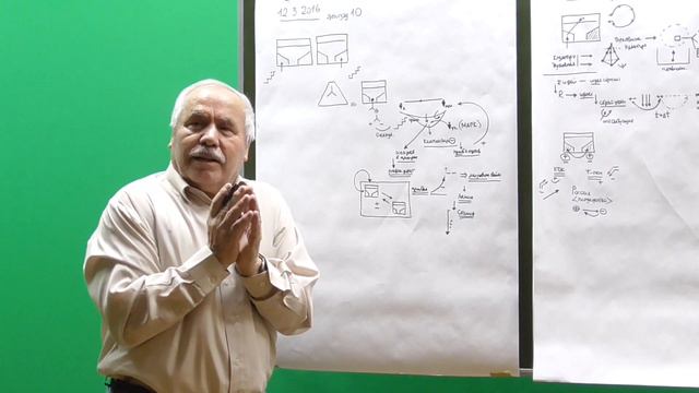 Стратегический выбор Сталина в эпоху диктатуры пролетариата. Эпизод 10-часть1. О.С.Анисимов. смотреть онлайн