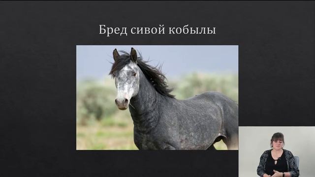 Удивительная фразеология | Русский язык TutorOnline