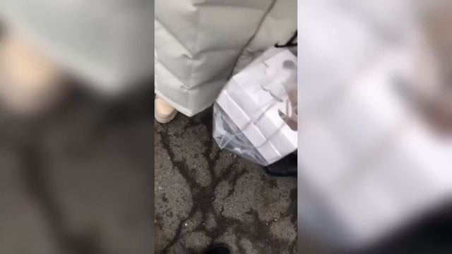 ОТШИЛ ТЦК/ВОЕНКОМОВ! КАК ПРАВИЛЬНО С НИМИ РАЗГОВАРИВАТЬ. смотреть онлайн